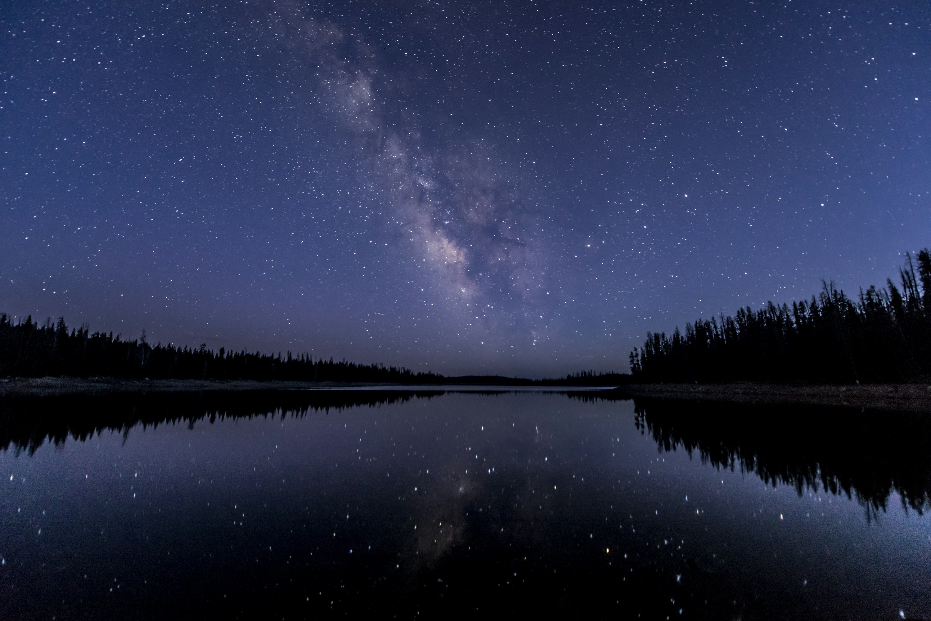 Starlink satellite constellation trails across the night sky